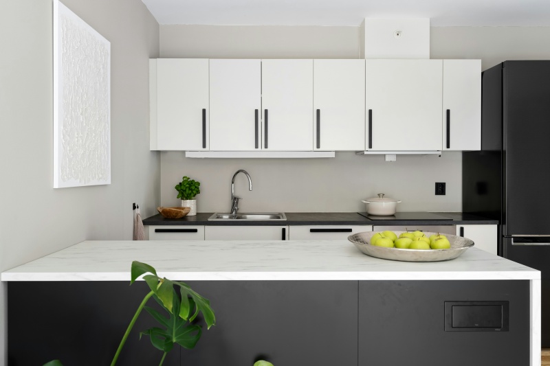 Contemporary Black and White Kitchen