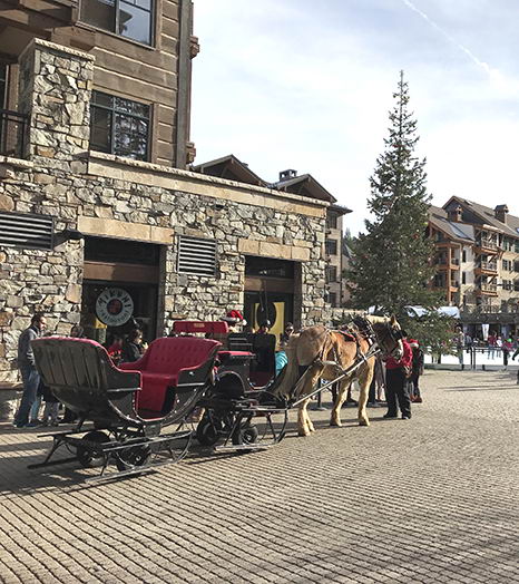 Melamine Veneer Kitchen Cabinets Design